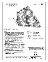 Lot 125