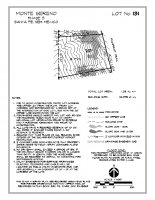Lot 131