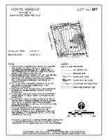 Lot 137