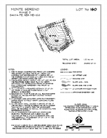Lot 160