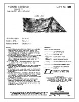 Lot 181