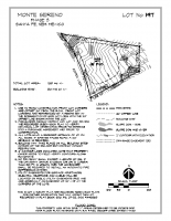 Lot 197