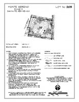 Lot 203