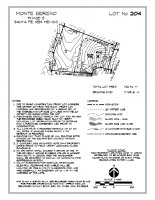 Lot 204