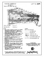 Lot 209