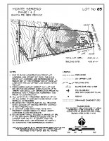 Lot 65