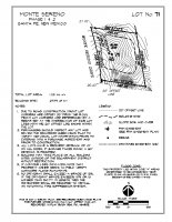 Lot 71