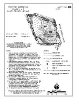 Lot 85