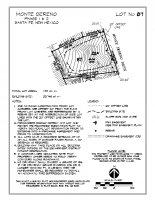 Lot 87