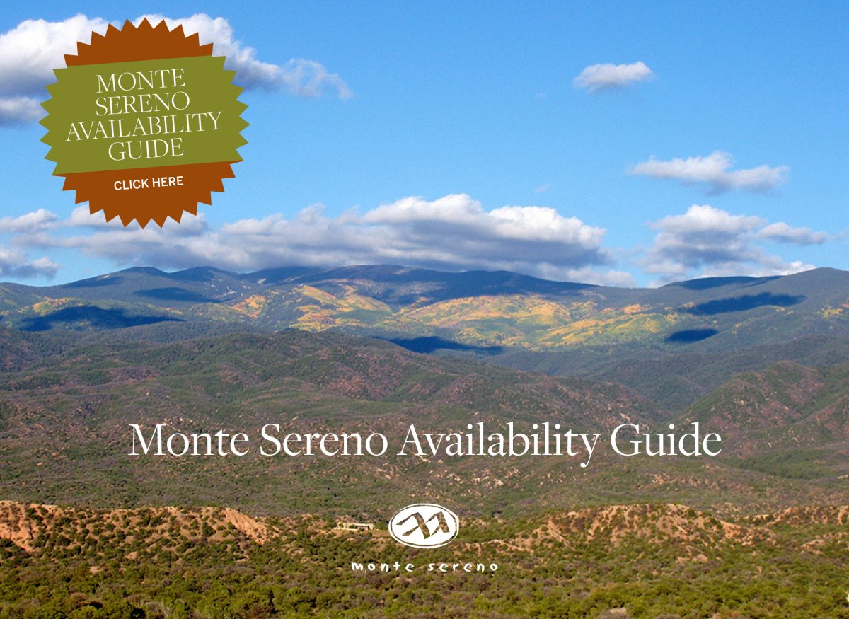 Availability Guide-cover