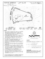 Lot 41