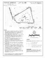 Lot 43
