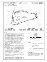 Lot 49