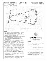 Lot 50