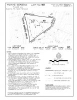 Lot 53