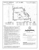 Lot 60