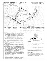 Lot 7