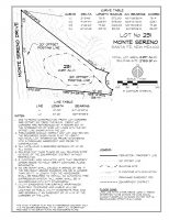 Lot 231