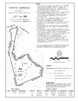 Lot 38