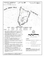 Lot 39