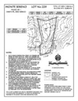 Lot 229