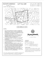 Lot 228